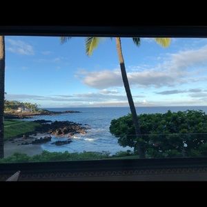 Meet your Posher, Brynn